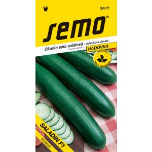 Semi Cetriolo da serra Saladin F1 dl 10s