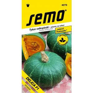 Semi di zucca tipo Hokkaido Delica F1 5s