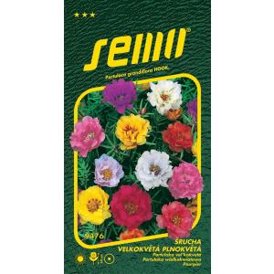 Seme Prutia a fiore grande a fiore pieno miscela 0,2g