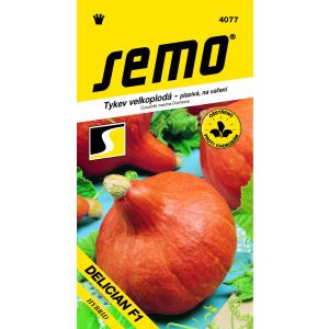 Semi di zucca tipo Hokkaido Delician F1 5s