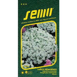 Semi di Tarica Corbielle d'argent bianco 0,6g