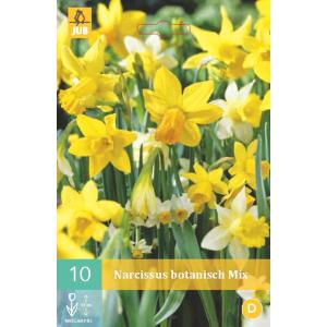 Narcis Botanical Mix "C"