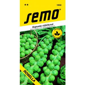 Semi di cavolo nero Groninger 0,8 g