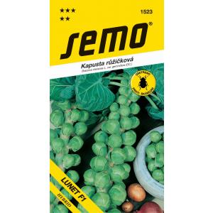 Cavolo da semina Lunet F1 35s