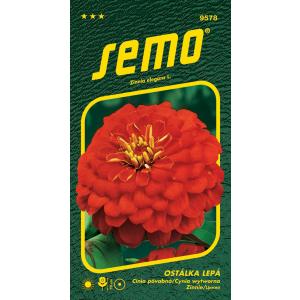 Seme Cherry Queen rosso 0,7 g