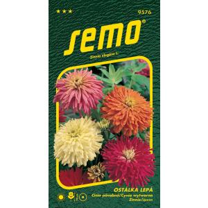 Seme Ostalella miscela appiccicosa di cactus e fiori 0,7g