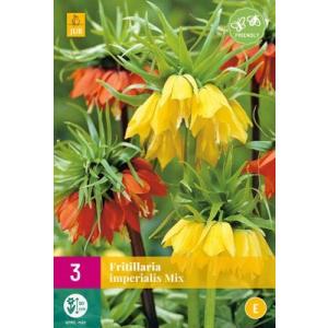 Fritillaria a corona Imp.Mix "E"