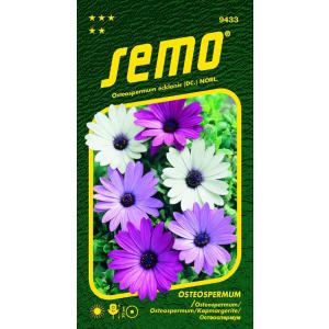 Semo Osteospermum miscela Balade 0,30g