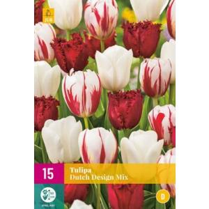 Tulipano olandese Design Mix 'D'