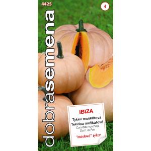 Buoni semi di zucca Ibiza 10s