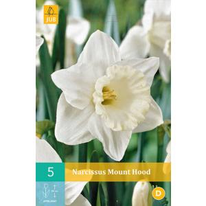 Narciso Mount Hood "C"