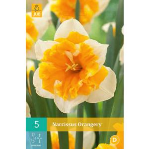 Orangerie Narcis "C"