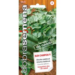 Semi buoni Semi di cetriolo per contenitori Bush Champion F1 10s