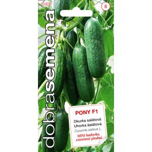 Semi buoni Cetriolo di serra Pony F1 MINI 10s