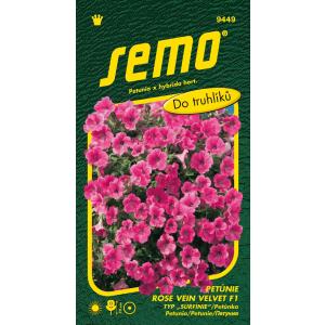 Semo Petunia ricadente Rose Vein Velvet RV Diamond F1 tipo Surfinia 10 pz.