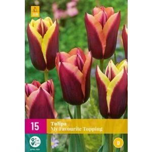 Tulipano Il mio condimento preferito "E