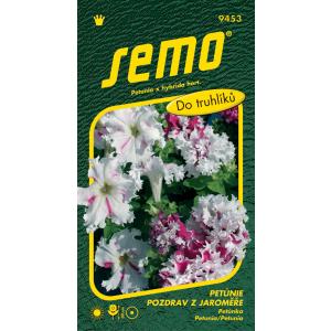 Seme di Petunia a fiore grande Saluti da Jaroměř 50p