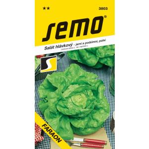 Semo Insalata primaverile Faraone da campo autunnale 0,6 g