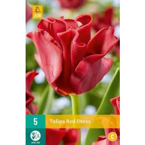 Tulipano Red Dress "C"