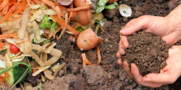Come preparare il proprio compost in giardino?