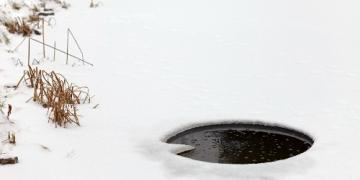 Come preparare il laghetto da giardino e lo stagno per l'inverno, passo dopo passo