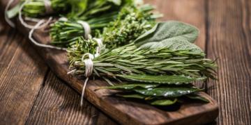 Come essiccare o congelare le erbe aromatiche per l'inverno?