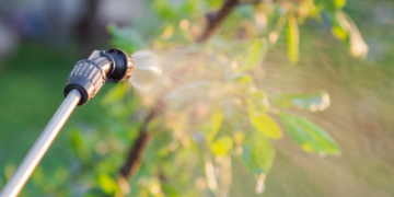 Cosa sono i pesticidi e in quali categorie si suddividono?