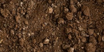 Che tipo di terreno avete nel vostro giardino e come potete migliorarlo?