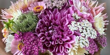 Ecco come crescono i fiori sbocciati nella fattoria dei fiori. Provate a casa vostra