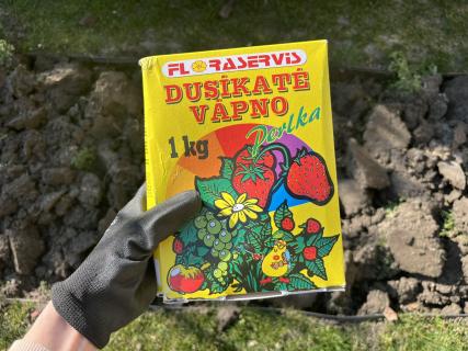 Po aplikácii dusíkatého vápna plánujete výsadbu šalátu. Ako postupovať?